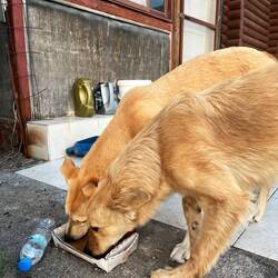 Zurück an der südöstlichen Küste, gibt es ein letztes Mal..