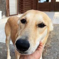 ..ausgedehnte Kraulaction und Liebe zu vergeben 💛