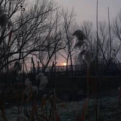 Sonnenaufgang im Nebel