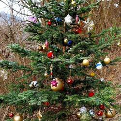 Geschmückter Baum am Wegesrand