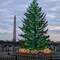 The controversial National Christmas Tree
