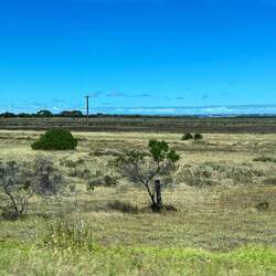 Low scrubland at or below sea-level, very salty