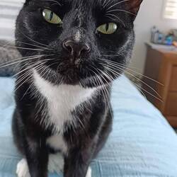 Je vous présente ZAC !