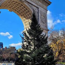 Washington Square Park