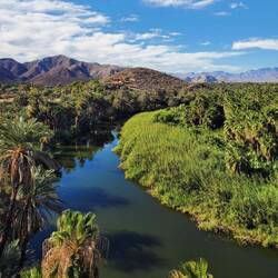 Fluss Oase in Mulegé