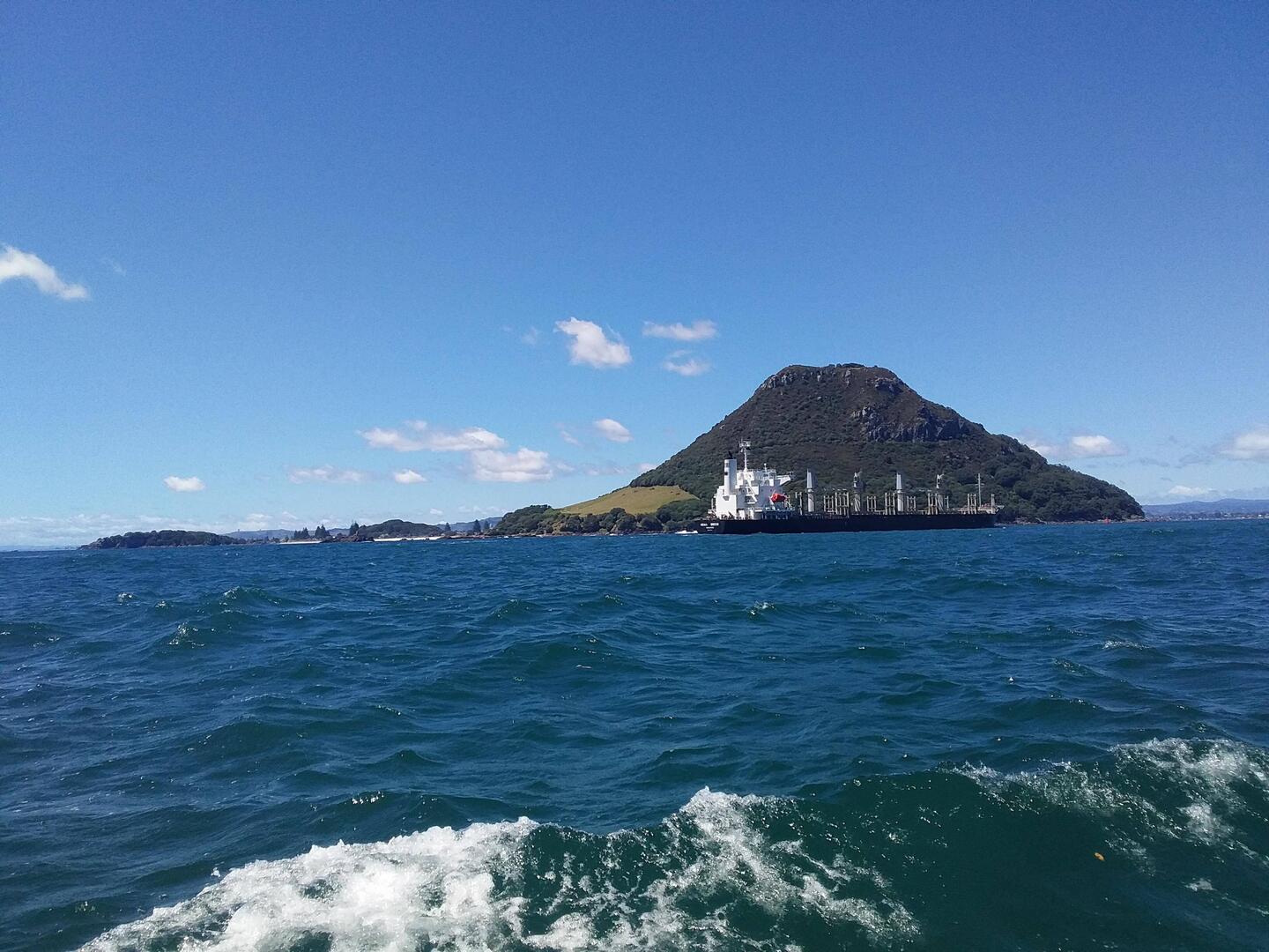 Dodging cargo ships on our way out of Tauranga harbour!