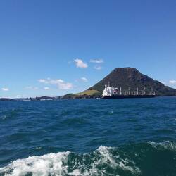 Dodging cargo ships on our way out of Tauranga harbour!