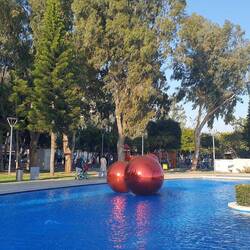 Weihnachtsdeko mal anders.