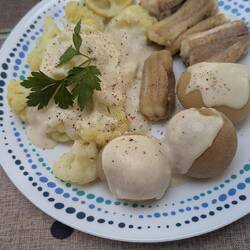 Katzenhai mit kleinen Pellkartoffeln, Blumenkohl und Bechamel-Sauce 😋