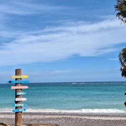 Ca 10000 km nach Köln