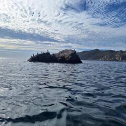 El Islote: der zweite Tauchspot: dort warten die Pelikane auf die Sardinen