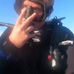 Ab ins Blaue: Bullhaie, Sardinen und Co