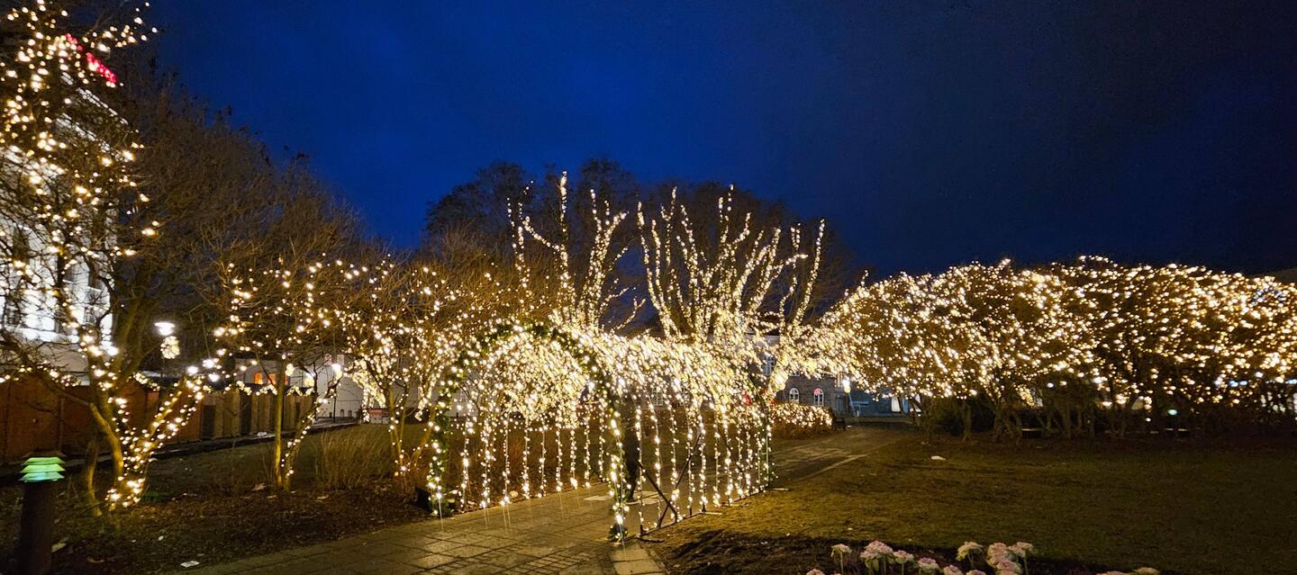 The main square Christmas lights