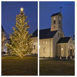 The cathedral and big Christmas tree.