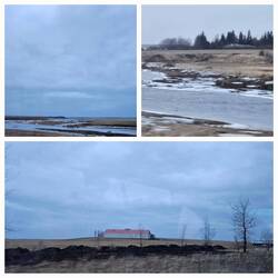 Scenes from the bus.