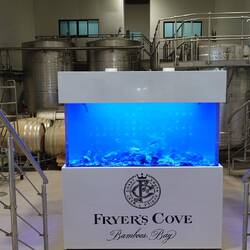 Teuere Weine dürfen im gekühlten Meerwasser reifen