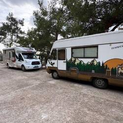 Challi mit polnischen Nachbarn