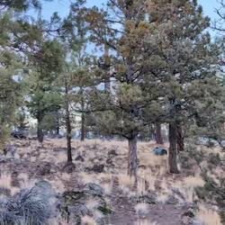 One of the lots we looked at to build. It was $$ and with a high HOA fee.