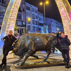 Der Bulle von Kadiköy