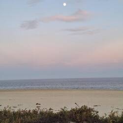 Abendlicht mit Vollmond