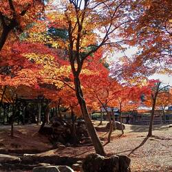 Couleurs de l'automne sont encore là