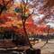 Couleurs de l'automne sont encore là