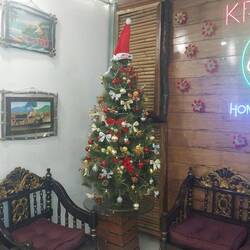 Christmas Decoration in 35°