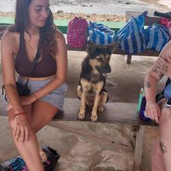 We met this cute dog