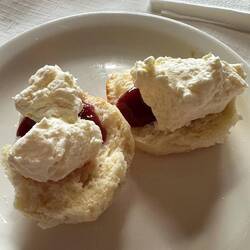 Fresh scones with quandong jam and fresh cream
