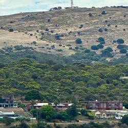 Winter Hill Lookout from the Westerdam