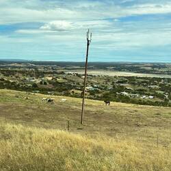 The brumbies and the inland of the Eyre peninsula