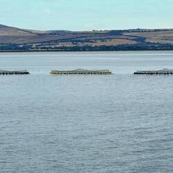 Fish farms