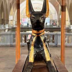 Anubis