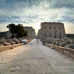 Karnak Eingangsallee mit Widdern gesäumt