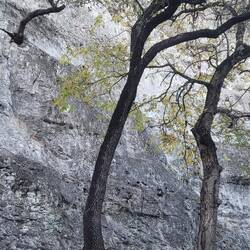 Medicine Wall, San Antonio, TX