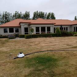 Brown grass