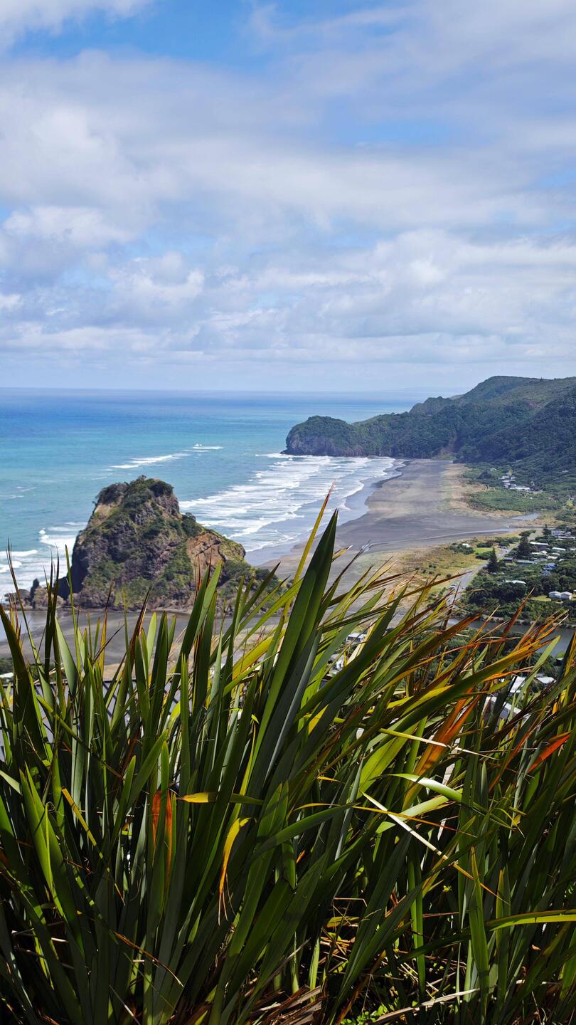Piha Black Sand Beach