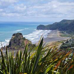 Piha Black Sand Beach