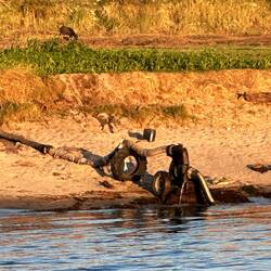 Kreative Wasserpumpanlage