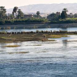 Nilinsel - mit Ackerbau - im Hintergrund Wüstenberge