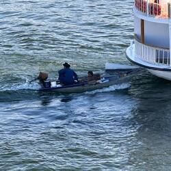 Tolerierte blinde Passagiere