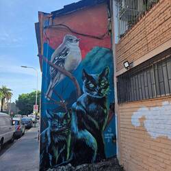 Sarahs Highlight, die vielen Graffitis im Quartier Yungay