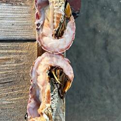 da war schon was dran...