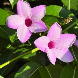 die Natur hat sich schnell erholt