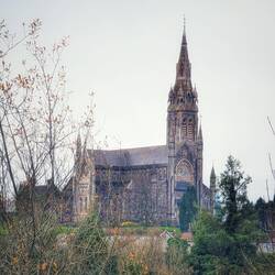 The Cathedral