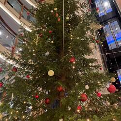 Trollfjord Holiday Tree