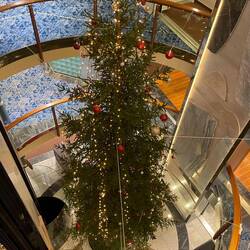 Trollfjord Holiday Tree