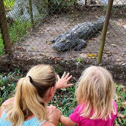 Krokodil bei der christichen Mission