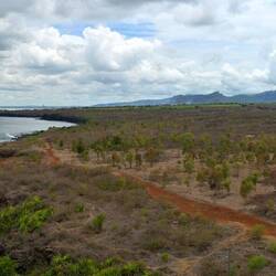 Richtung Nord-West reicht die Sicht bis Port Louis