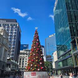 Im Zentrum von Auckland
